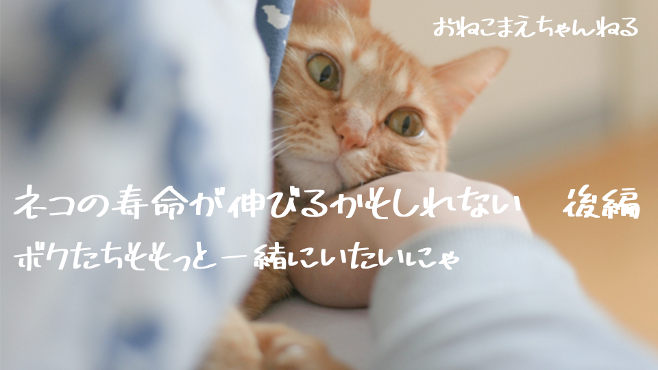 f:id:onekomae:20190905194417p:plain