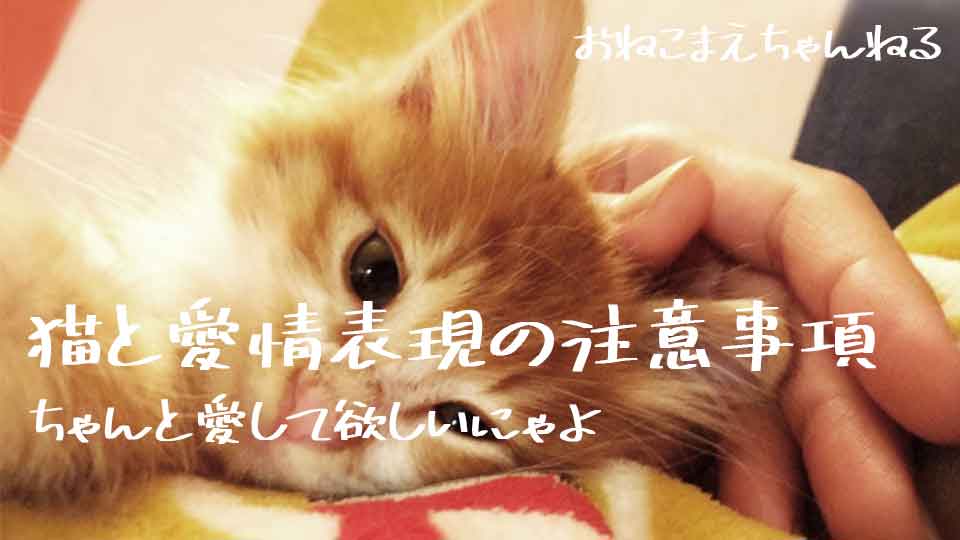 f:id:onekomae:20190912190021j:plain