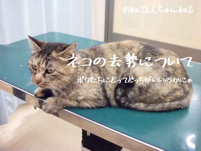 f:id:onekomae:20190930133628j:plain