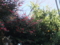 20130124235717
