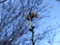 20130128001610