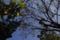 20130204133802