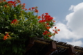 20130831121444
