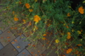 20131026182810