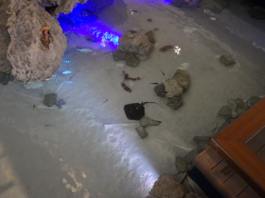 f:id:onemanwanderer:20170304235438j:plain