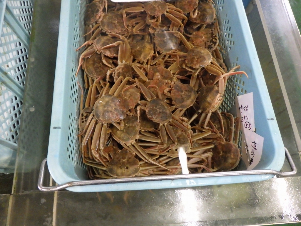 f:id:onemanwanderer:20171118155231j:plain