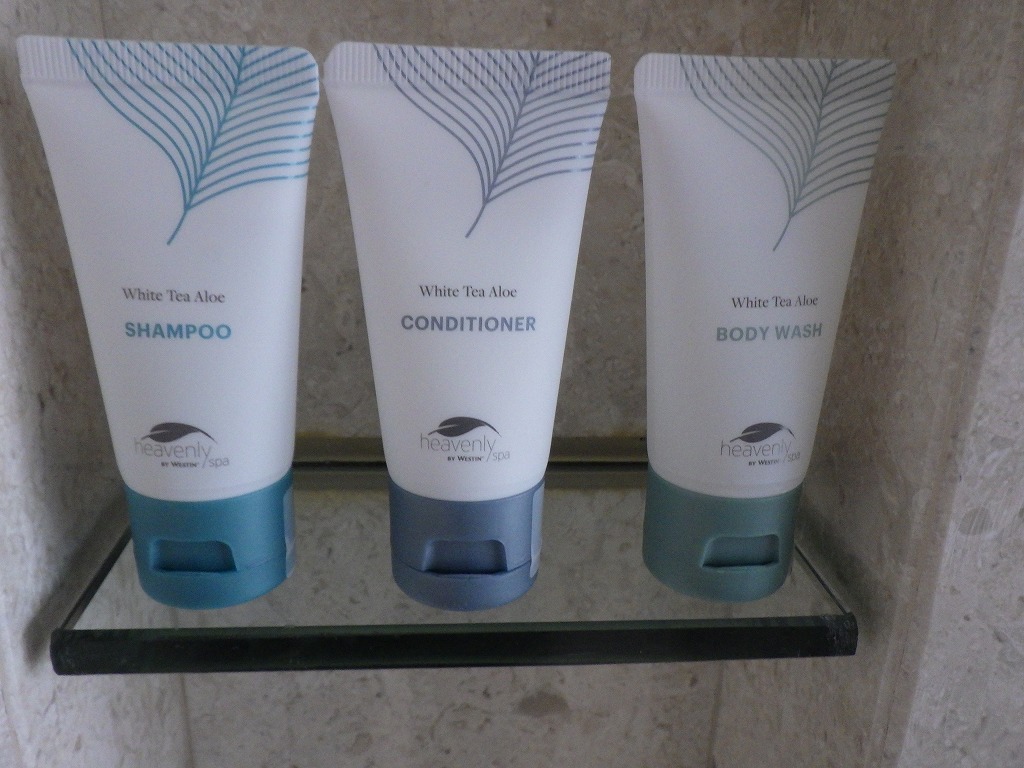 f:id:onemanwanderer:20171123111903j:plain