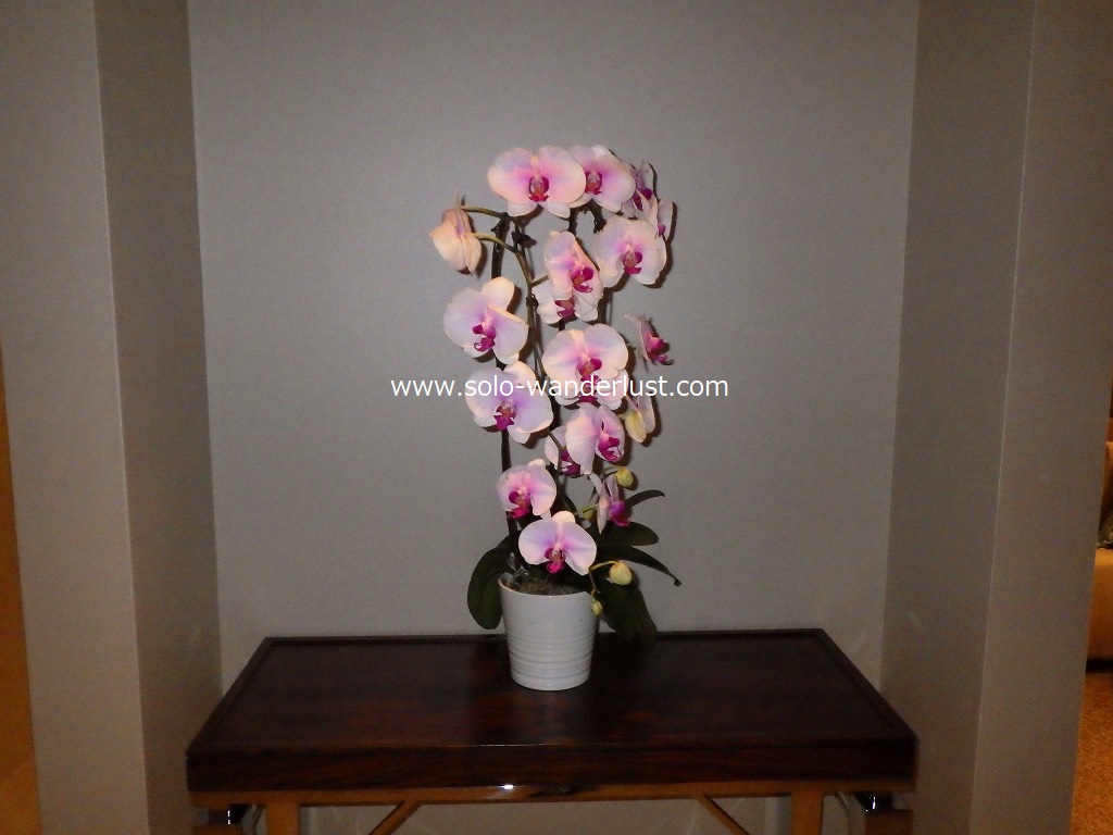 f:id:onemanwanderer:20171126111026j:plain