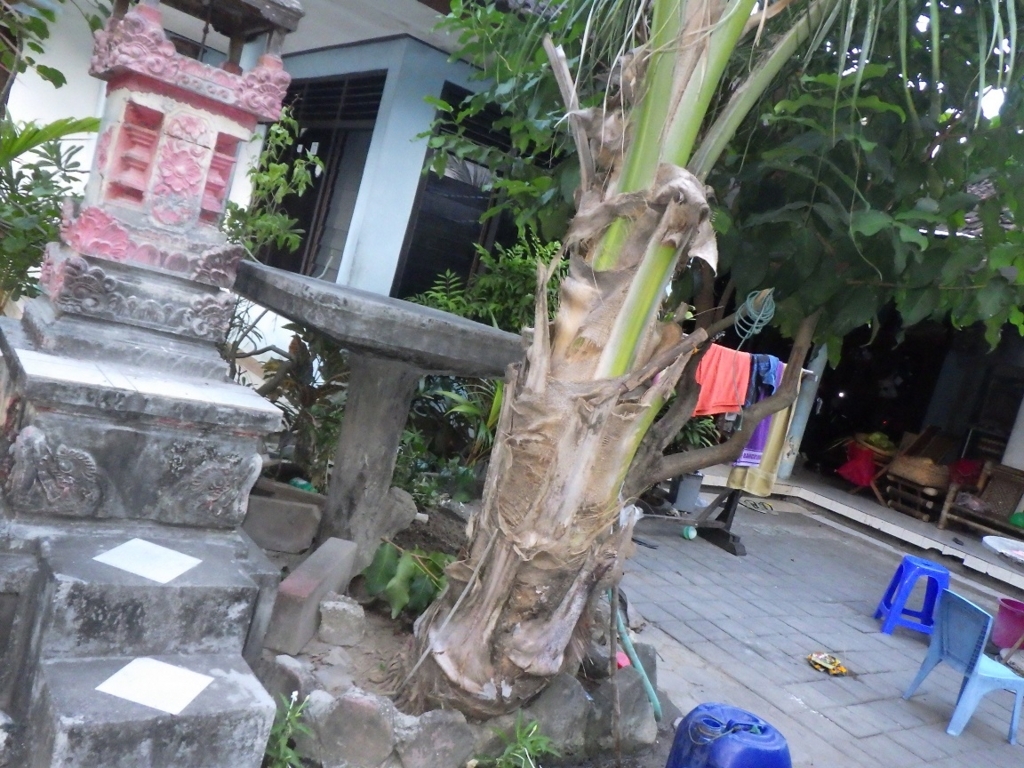 f:id:onemanwanderer:20180524131004j:plain f:id:onemanwanderer:20180524131004j:plain