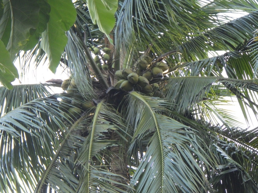 f:id:onemanwanderer:20180524131224j:plain f:id:onemanwanderer:20180524131224j:plain
