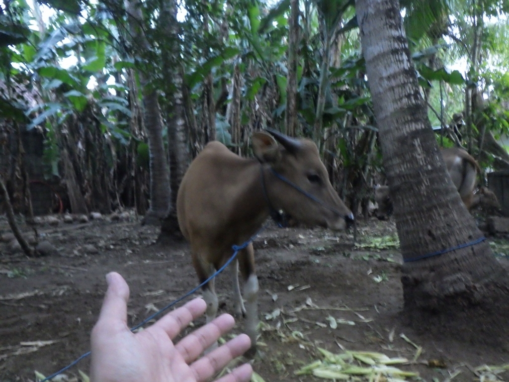 f:id:onemanwanderer:20180524131337j:plain f:id:onemanwanderer:20180524131337j:plain