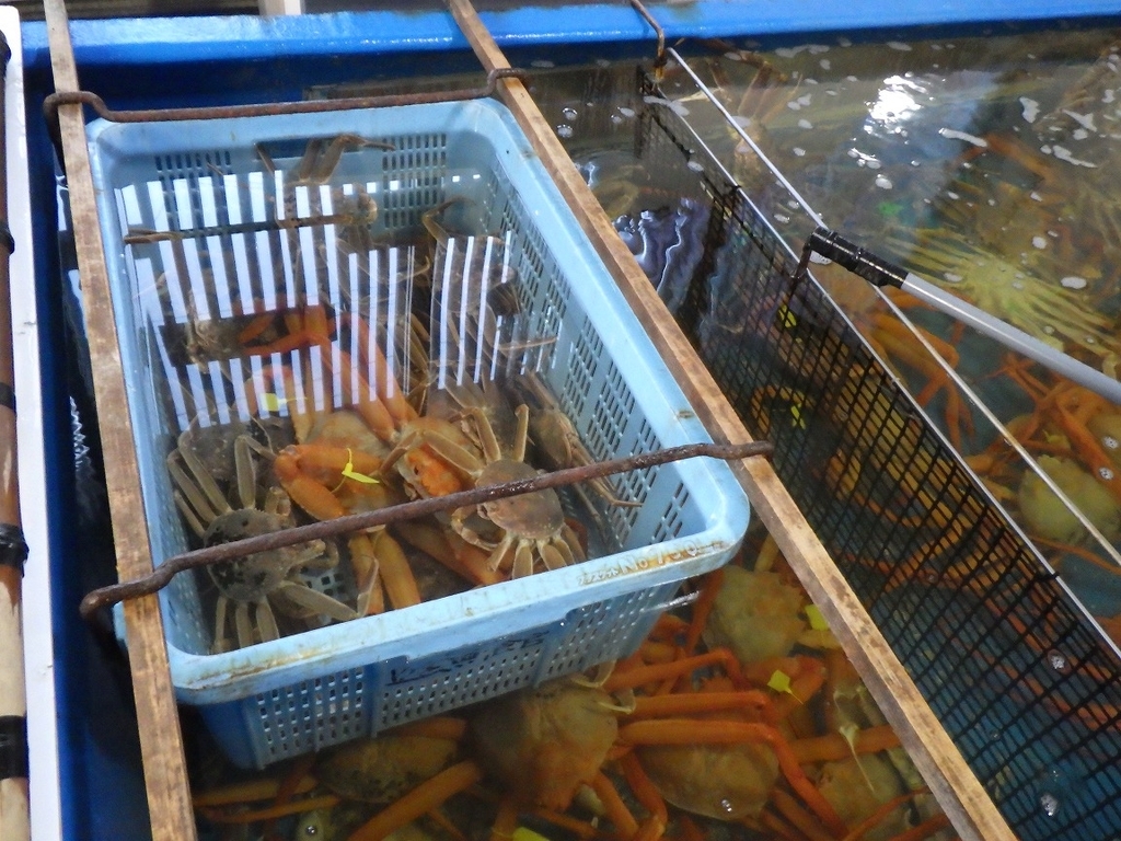 f:id:onemanwanderer:20181120101809j:plain