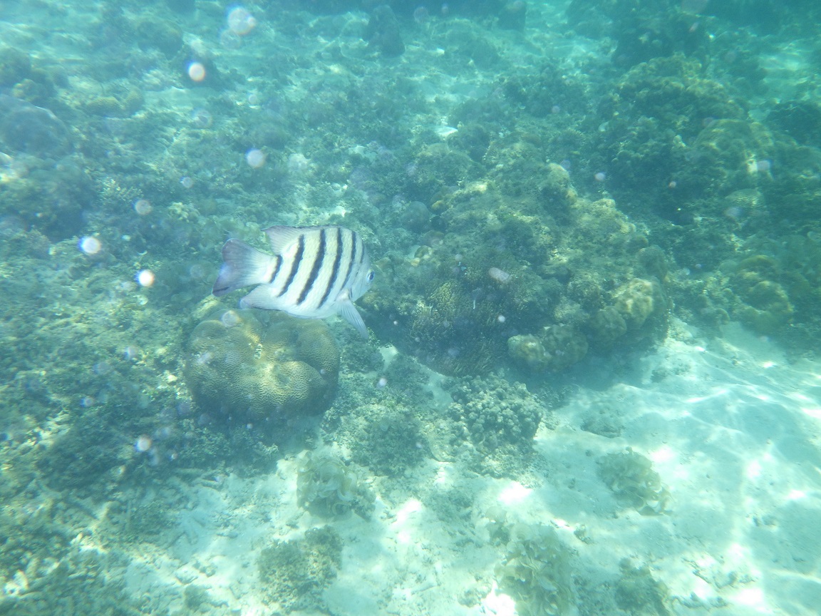 f:id:onemanwanderer:20190430213248j:plain