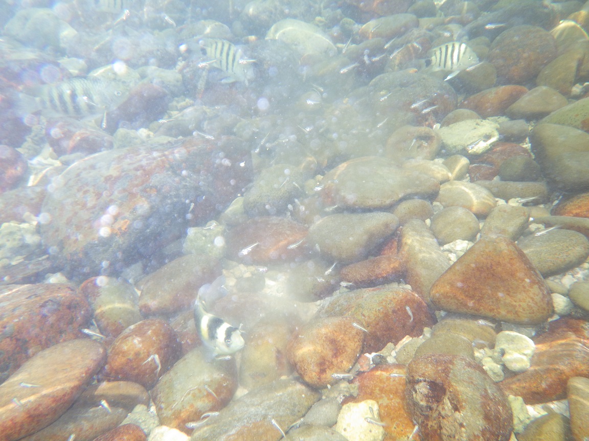 f:id:onemanwanderer:20190430213602j:plain