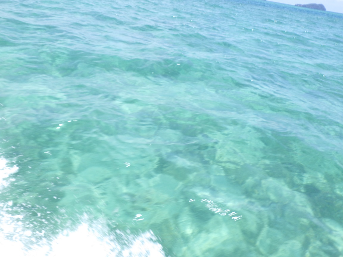 f:id:onemanwanderer:20190501193044j:plain f:id:onemanwanderer:20190501193044j:plain