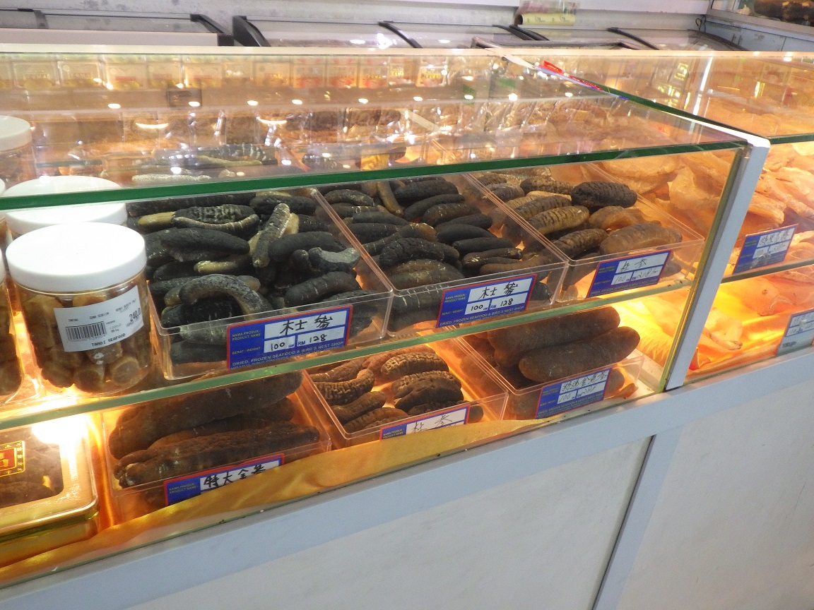 f:id:onemanwanderer:20190503212941j:plain f:id:onemanwanderer:20190503212941j:plain