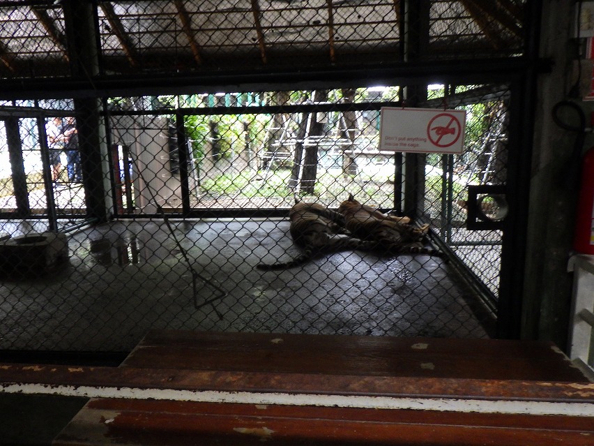 f:id:onemanwanderer:20190618095937j:plain f:id:onemanwanderer:20190618095937j:plain