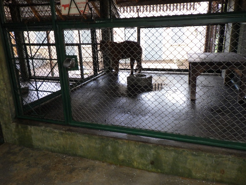 f:id:onemanwanderer:20190618100209j:plain f:id:onemanwanderer:20190618100209j:plain