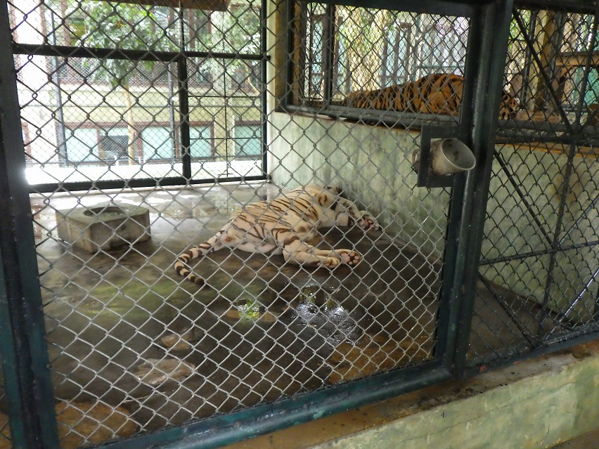 f:id:onemanwanderer:20190618100229j:plain f:id:onemanwanderer:20190618100229j:plain
