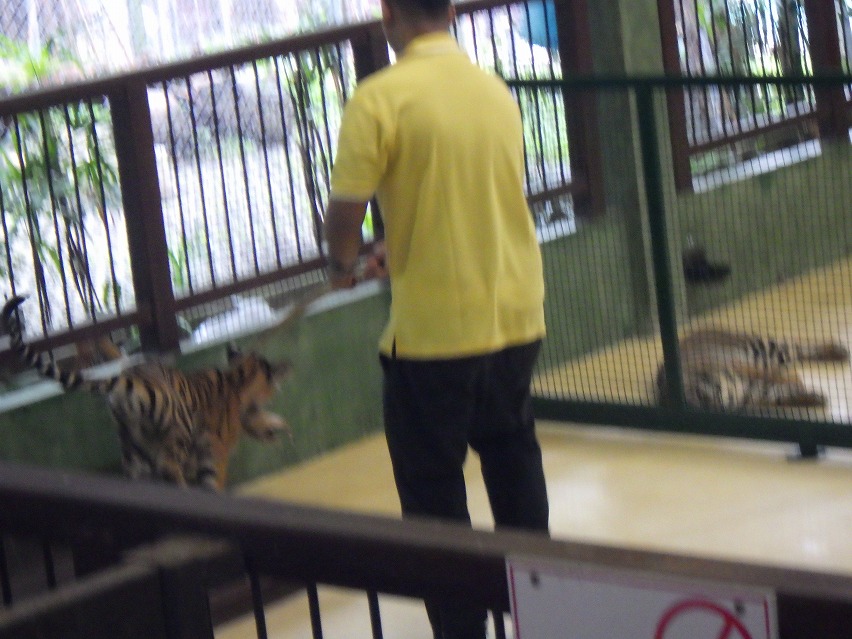 f:id:onemanwanderer:20190618101202j:plain f:id:onemanwanderer:20190618101202j:plain