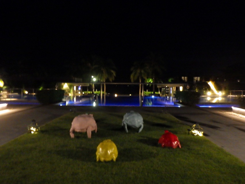 f:id:onemanwanderer:20190620221726j:plain f:id:onemanwanderer:20190620221726j:plain