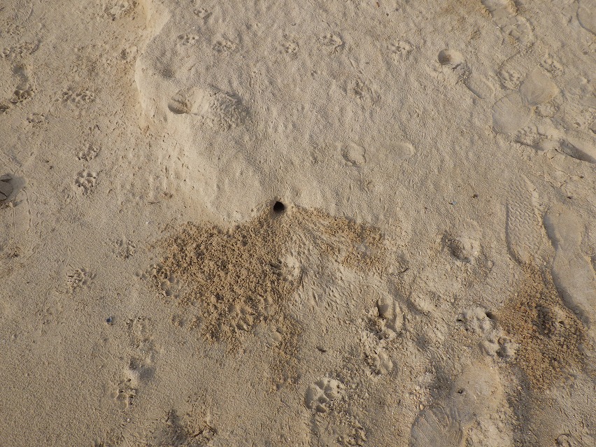 f:id:onemanwanderer:20190622085203j:plain f:id:onemanwanderer:20190622085203j:plain