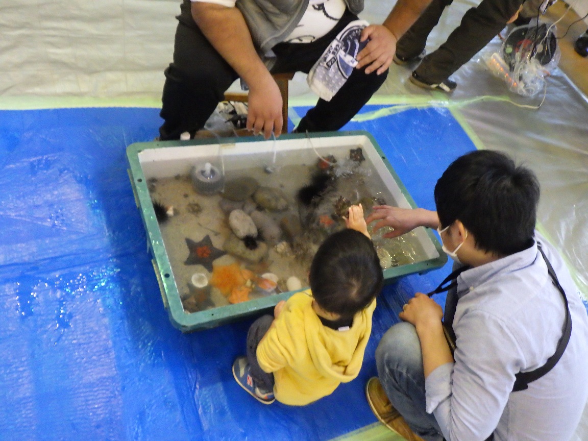 f:id:onemanwanderer:20191111073905j:plain f:id:onemanwanderer:20191111073905j:plain