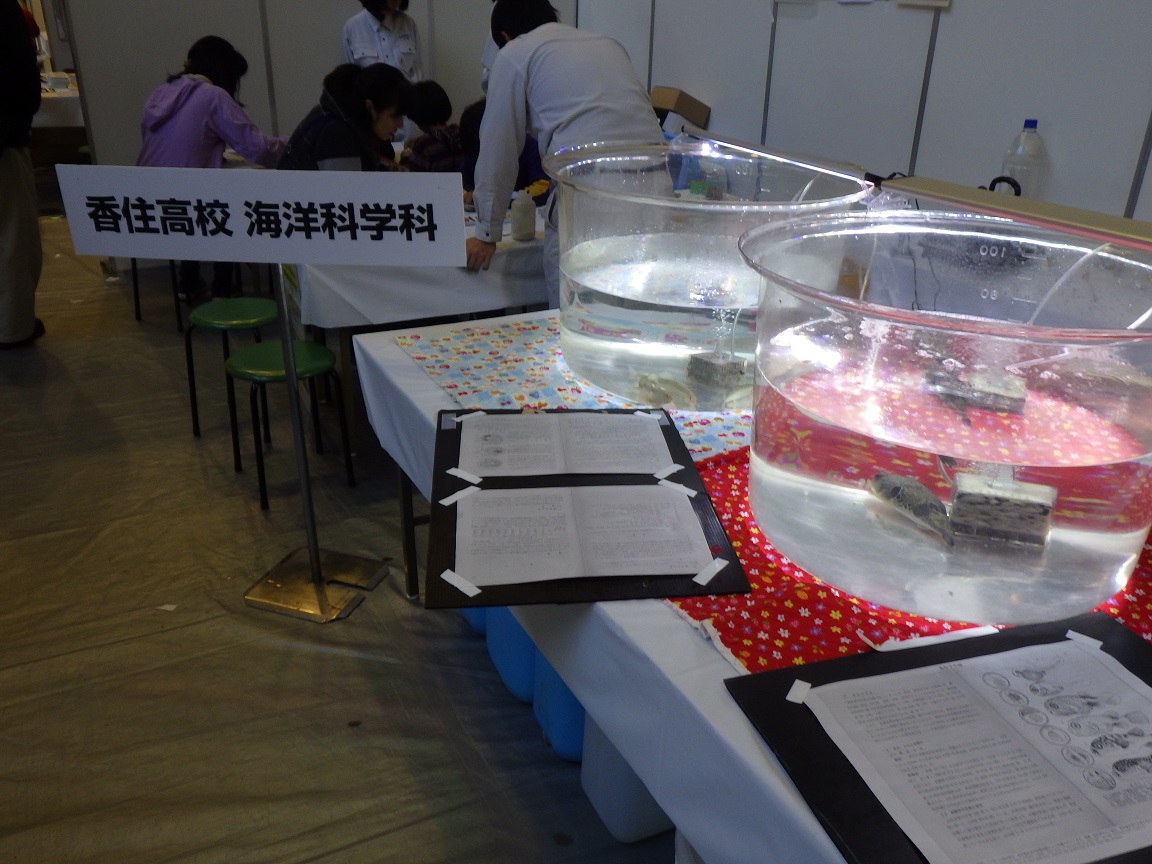 f:id:onemanwanderer:20191111073952j:plain f:id:onemanwanderer:20191111073952j:plain