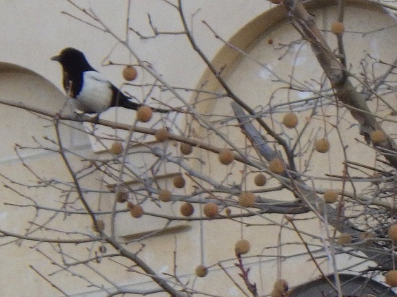 f:id:onemanwanderer:20191213000103j:plain