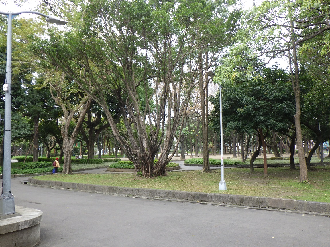 f:id:onemanwanderer:20200217153449j:plain f:id:onemanwanderer:20200217153449j:plain
