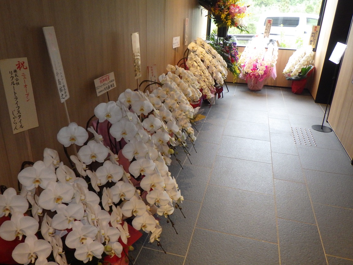 f:id:onemanwanderer:20201009103605j:plain