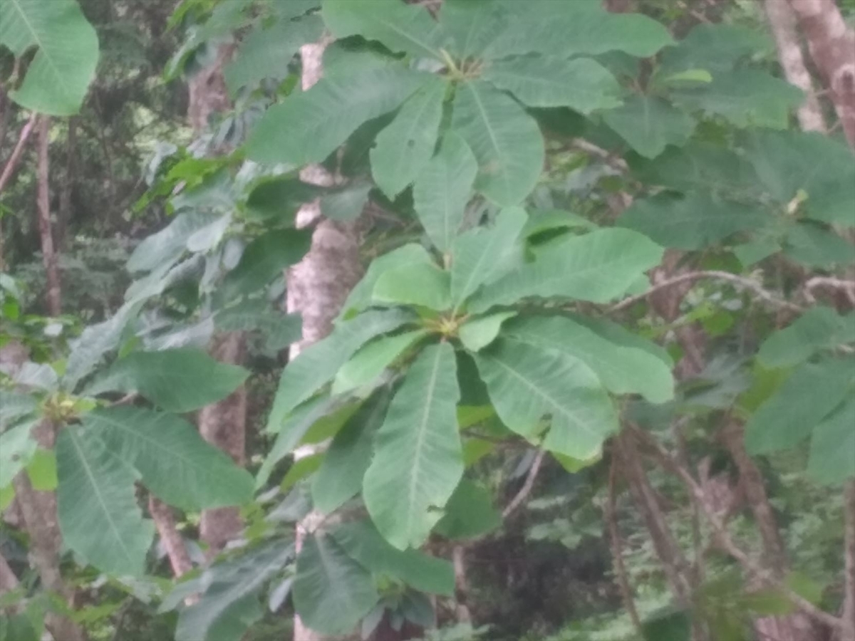 f:id:onemanwanderer:20210614145729j:plain
