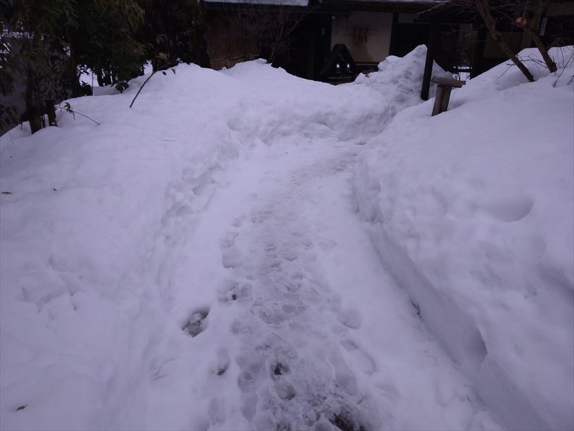 f:id:onemanwanderer:20220129105154j:plain