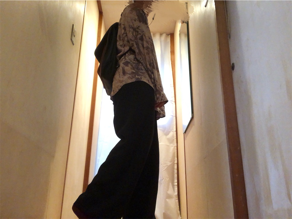 f:id:onemu_aqua:20190504123341j:image