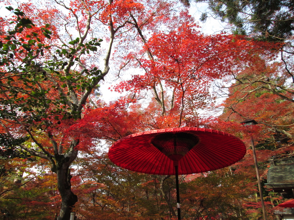 有馬温泉 瑞宝寺公園の紅葉 温泉を求めて旅する時々ジョガーのブログ