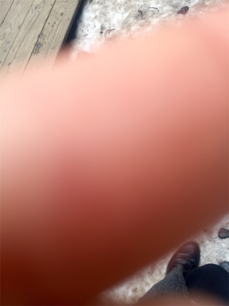 f:id:oni-gawara:20170204200534j:plain f:id:oni-gawara:20170204200534j:plain