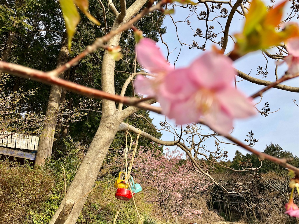 f:id:oni-gawara:20180307125641j:plain f:id:oni-gawara:20180307125641j:plain