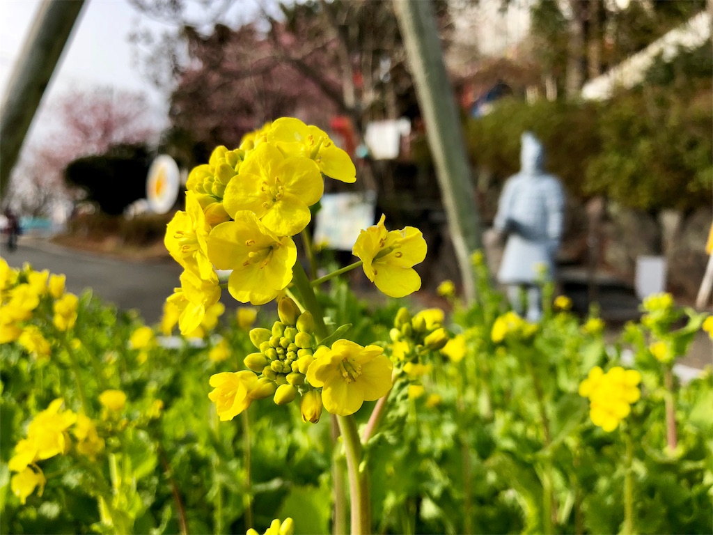 f:id:oni-gawara:20180307125646j:plain f:id:oni-gawara:20180307125646j:plain
