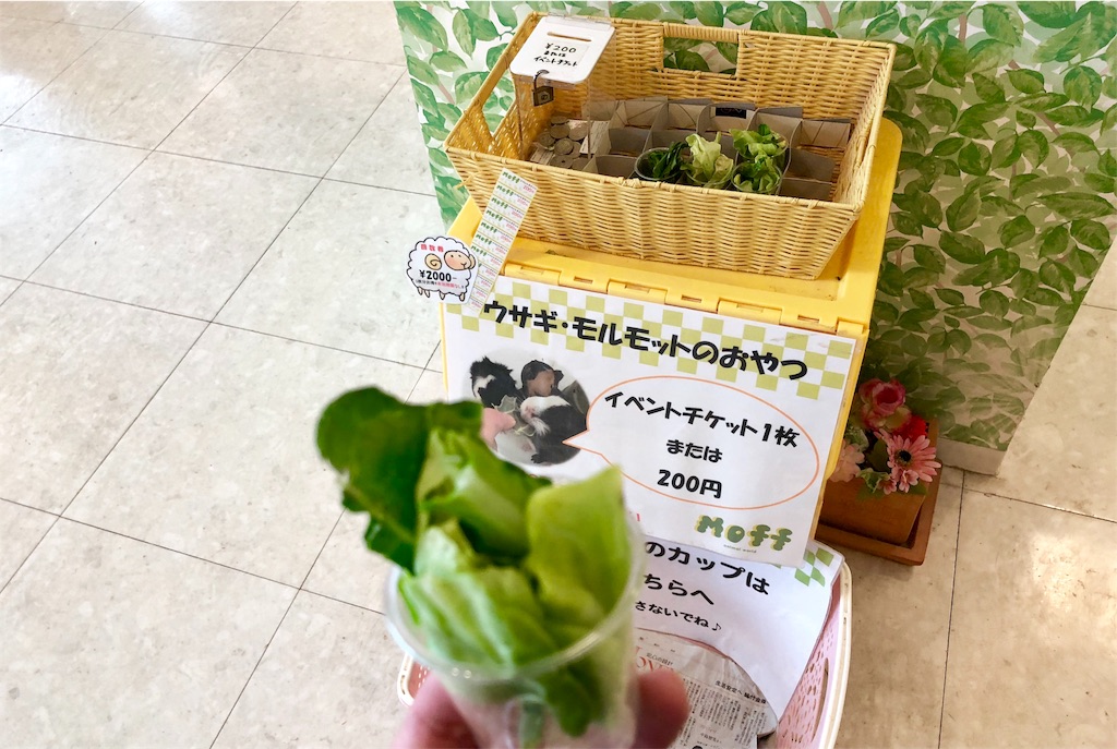 f:id:oni-gawara:20190522104119j:plain f:id:oni-gawara:20190522104119j:plain