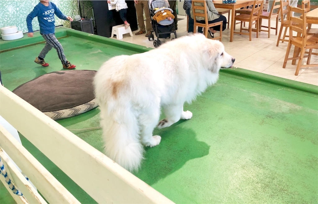 f:id:oni-gawara:20190522104302j:plain f:id:oni-gawara:20190522104302j:plain