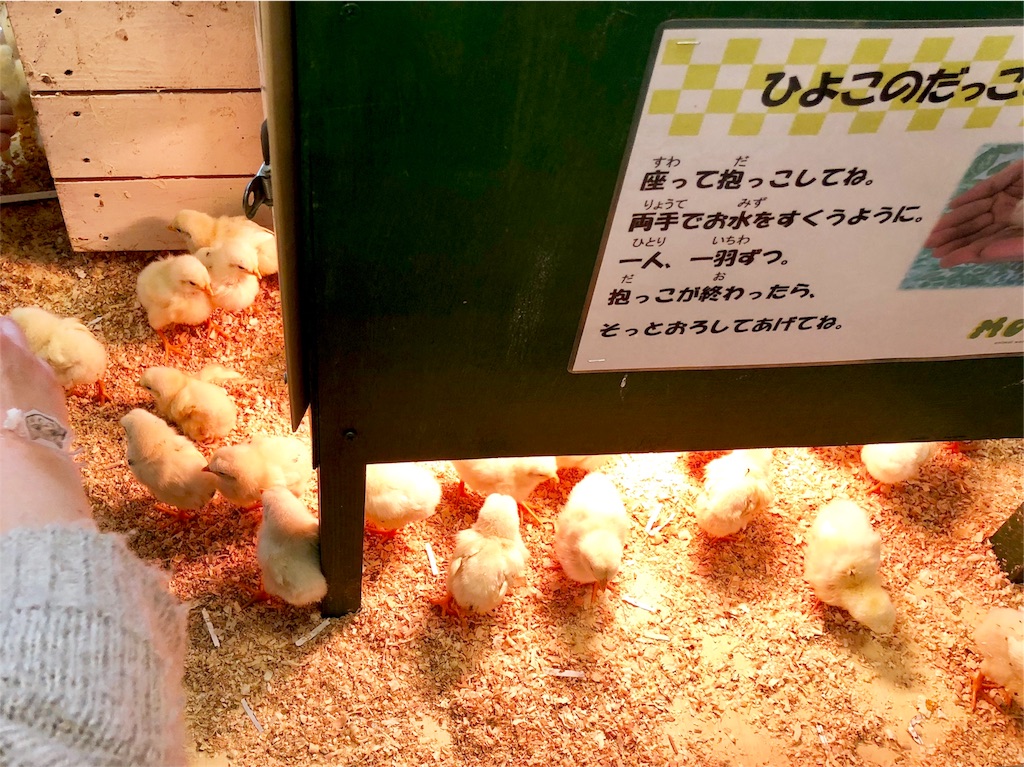 f:id:oni-gawara:20190522104308j:plain f:id:oni-gawara:20190522104308j:plain