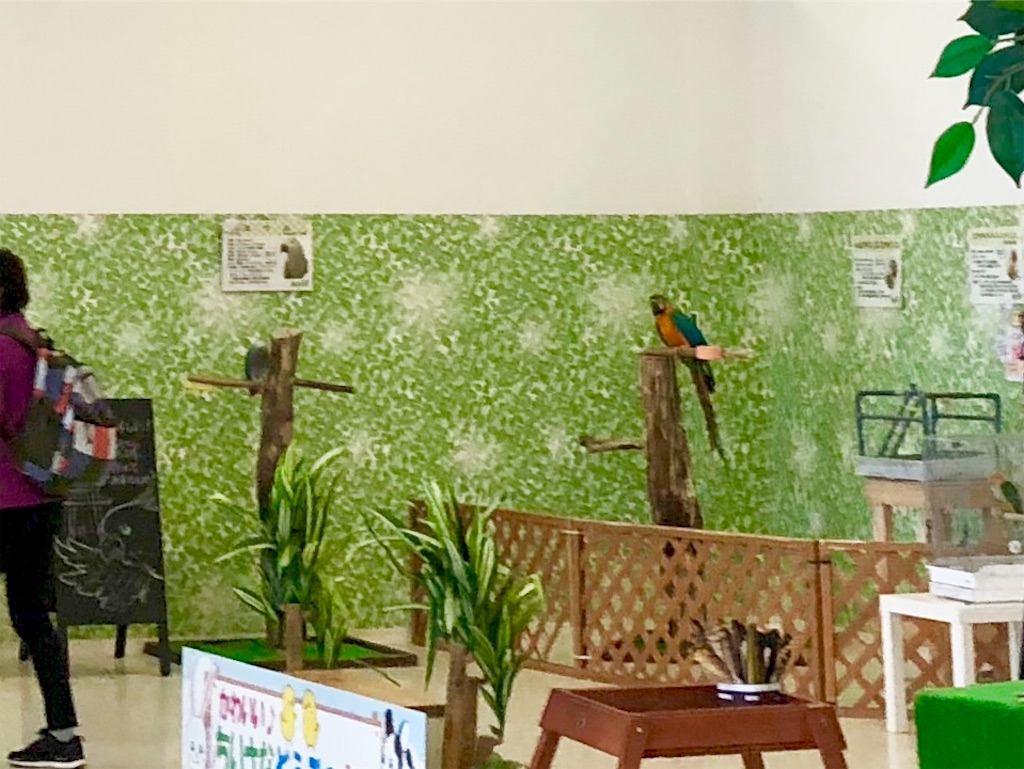 f:id:oni-gawara:20190522121909j:plain f:id:oni-gawara:20190522121909j:plain