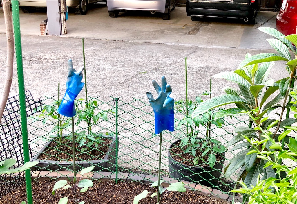 f:id:oni-gawara:20190725162311j:plain f:id:oni-gawara:20190725162311j:plain
