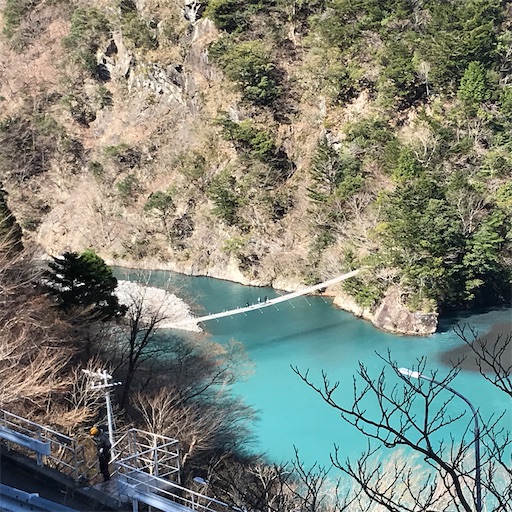 f:id:onigiri_man:20200317220717j:image