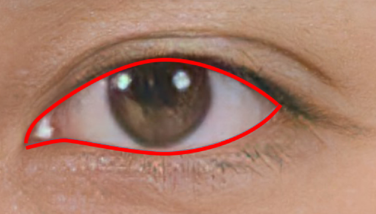 f:id:oniji:20210706183926p:plain