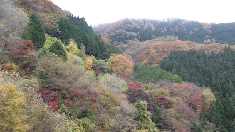 f:id:onimurateizankai:20121111130116j:image