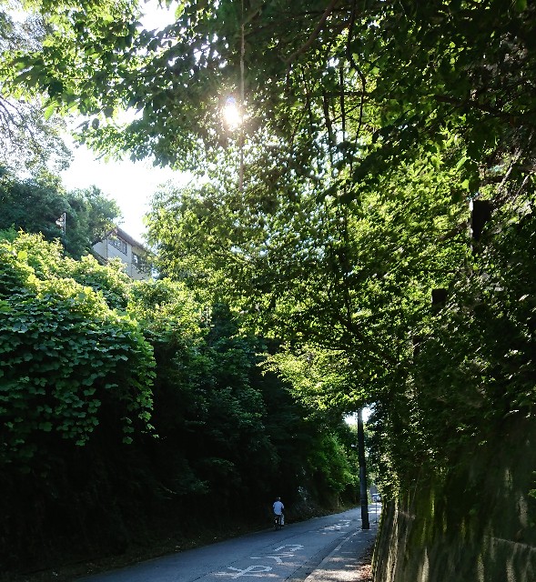 f:id:onion1124:20190811160646j:image