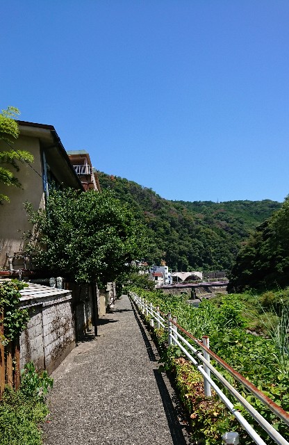 f:id:onion1124:20190813133542j:image