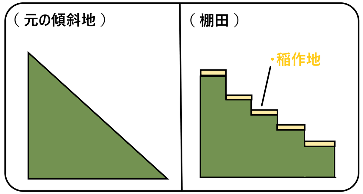 f:id:onion1124:20200429091606p:plain