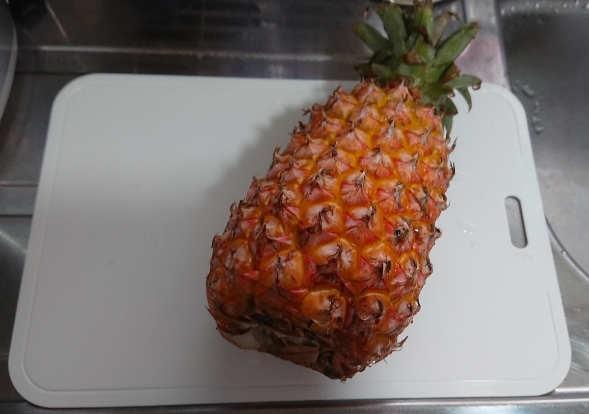 f:id:onion1124:20210506203922j:plain